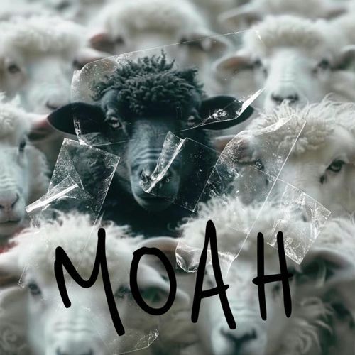 MOAH cover art