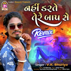 Nahi Darate Tere Bap Se Remix