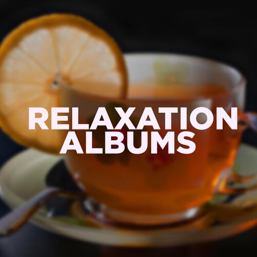 Vlog Ambient cover art
