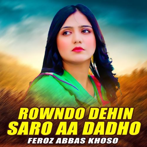 Rowndo Dehin Saro Aa Dadho