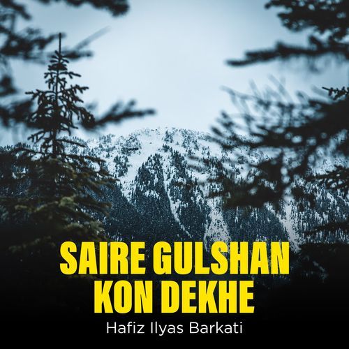 SAIRE GULSHAN KON DEKHE