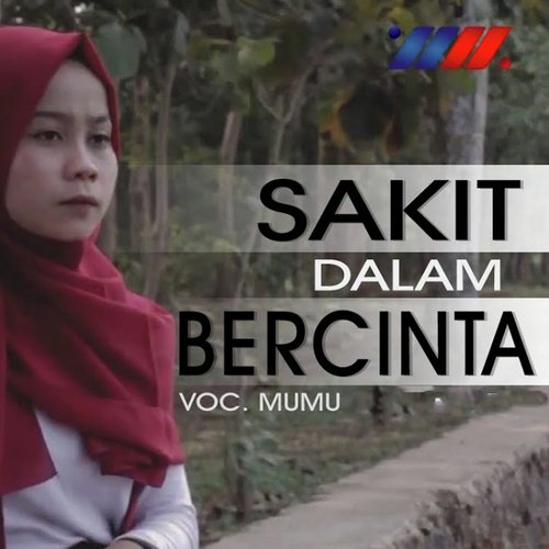 Sakit Dalam Bercinta