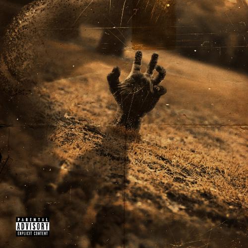 Searching cover art