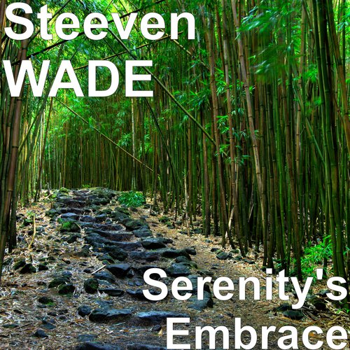 Beyond the Silence cover art
