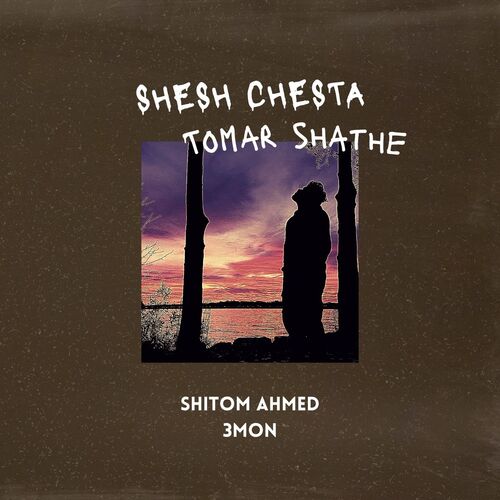 Shesh Chesta Tomar Shathe_poster_image