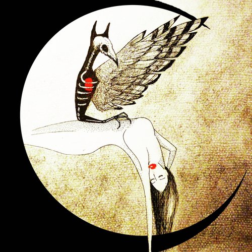 Zink cover art