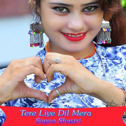 Tere Liye Dil Mera