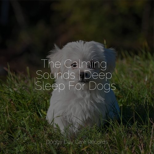 The Calming Sounds | Deep Sleep For Dogs