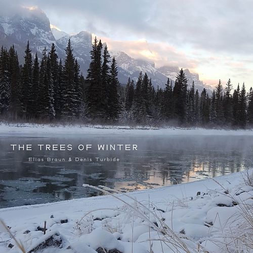 The Trees of Winter