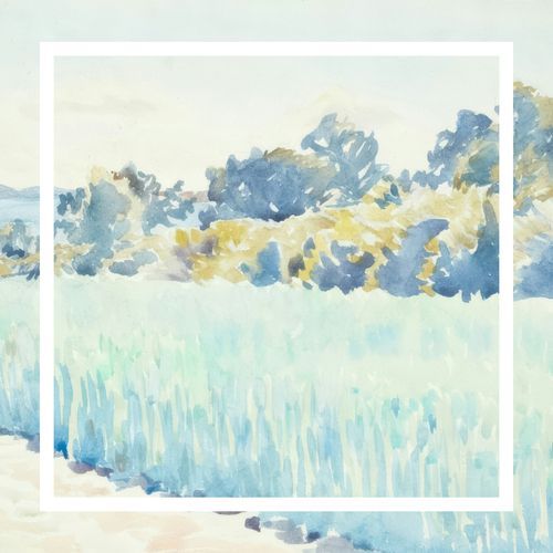blue fields cover art