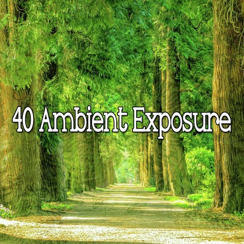 40 Ambient Exposure