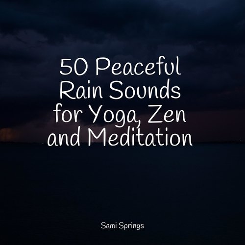 Rain, Storm and Thunder cover art