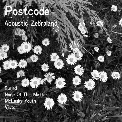 Acoustic Zebraland_poster_image