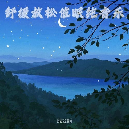 治愈大自然催眠曲｜夏夜白噪音｜山泉水声 cover art