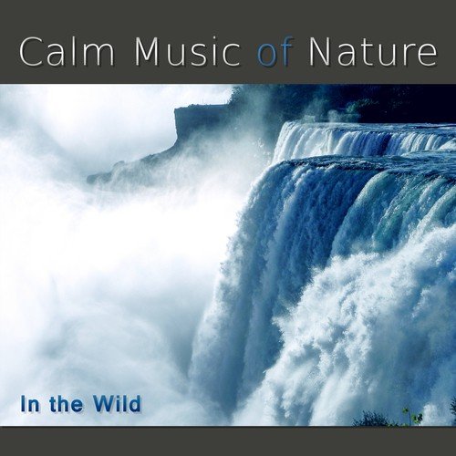Calm Music of Nature (In the Wild, Smooth Waterfall, Tropical Rain, Birds Chirping, Feel Nature)