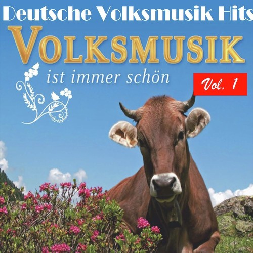 Deutsche Volksmusik Hits - Volksmusik ist immer schön, Vol. 1