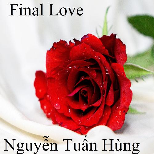 Final Love_poster_image