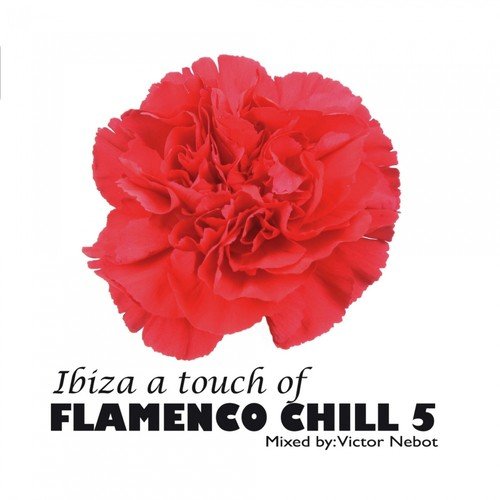 Ibiza A Touch of Flamenco Chill 5