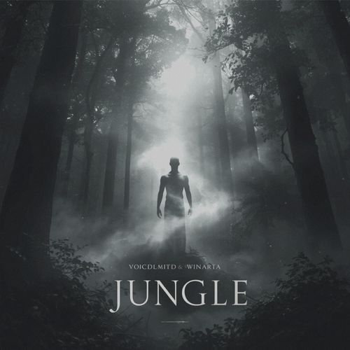 Jungle (Extended Mix)