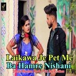 Laikawa Je Pet Me Ba Hamre Nishani