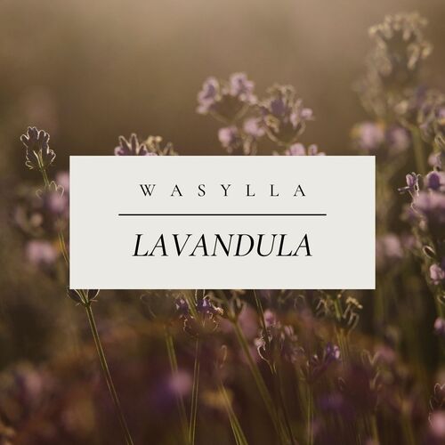 Lavandula cover art