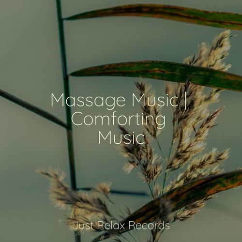 Massage Music | Comforting Music