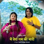 Me Tera Gam Ki Mari Sahil 3658 artwork
