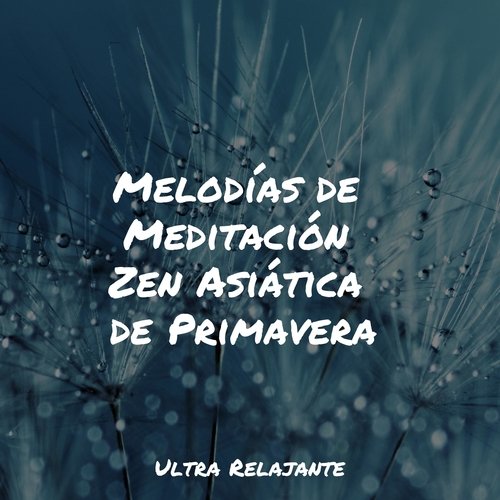 Melodías de Meditación Zen Asiática de Primavera