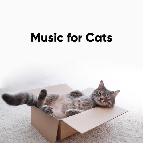 Music for Relaxing Cats cover art