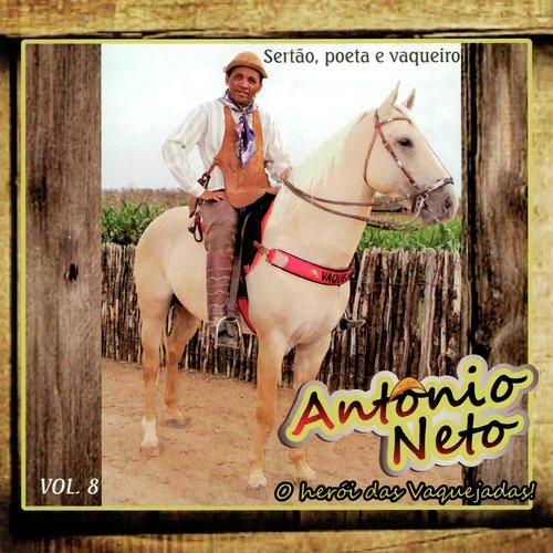 Homenagem a Vavá Machado cover art
