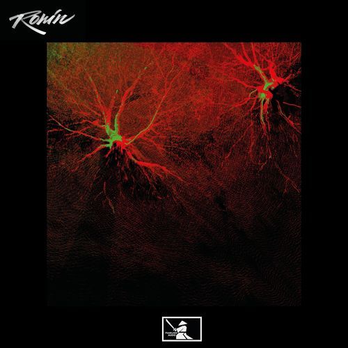 Ronin cover art