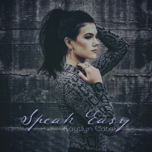 Speak Easy (feat. The David Samuel Project) cover art