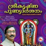 Sree Krishna punya darsanam