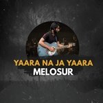 Yaara Na Ja Yaara