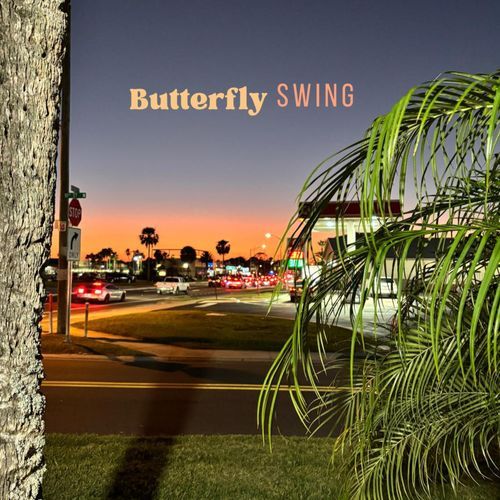 butterfly swing