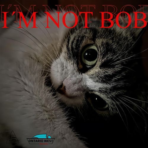 i´m not bob_poster_image