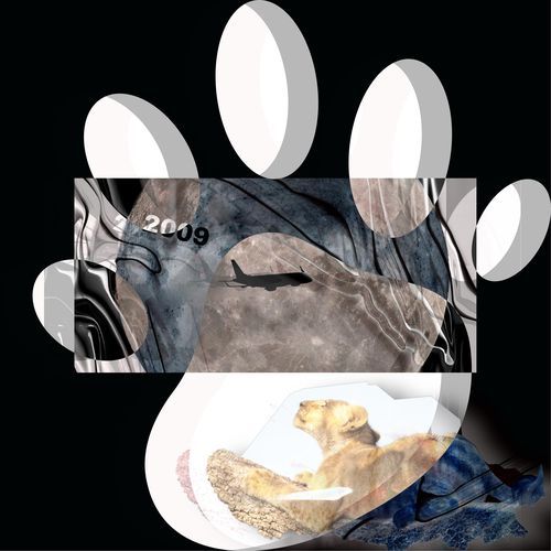2009 cover art