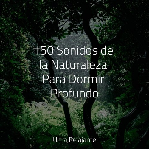 Serenidad cover art