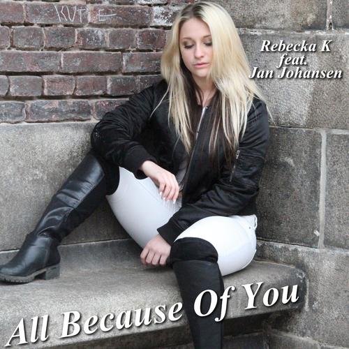 All Because of You (feat. Jan Johansen)_poster_image