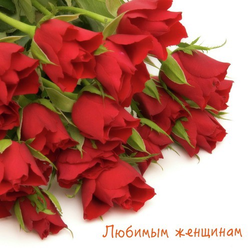 Любимая единственная