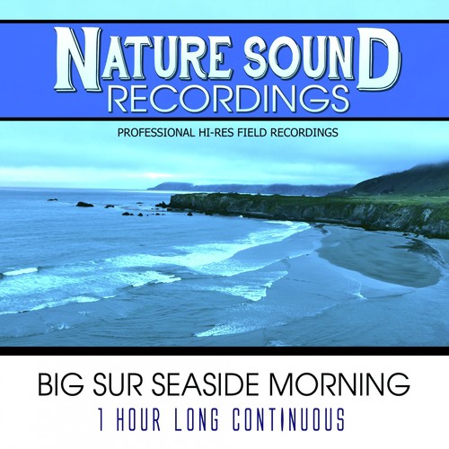 Big Sur Seaside Morning - 1 Hour Long Continuous_poster_image