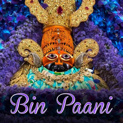 Bin Paani