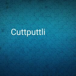 Cuttputtli-Hg8lRSRBbx4