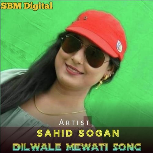 Dilwale Mewati Song