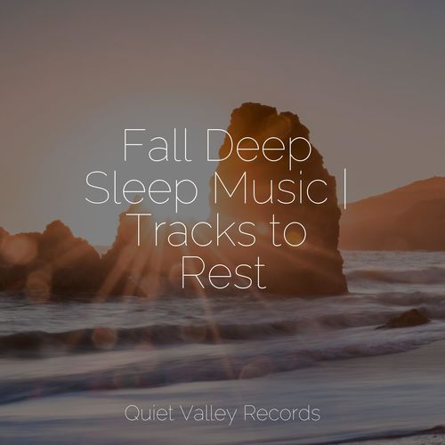 Fall Deep Sleep Music | Tracks to Rest