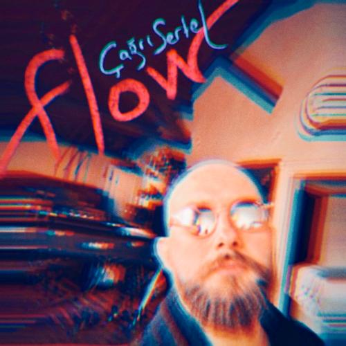 Flow_poster_image