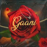 Gaani
