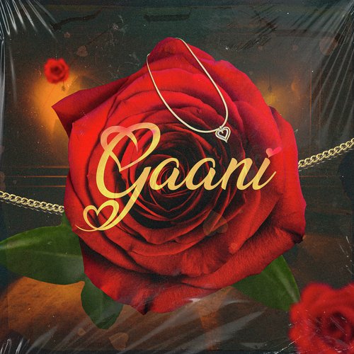 Gaani