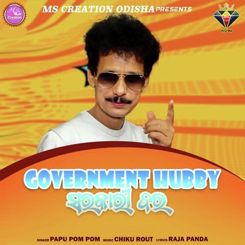 Government Hubby