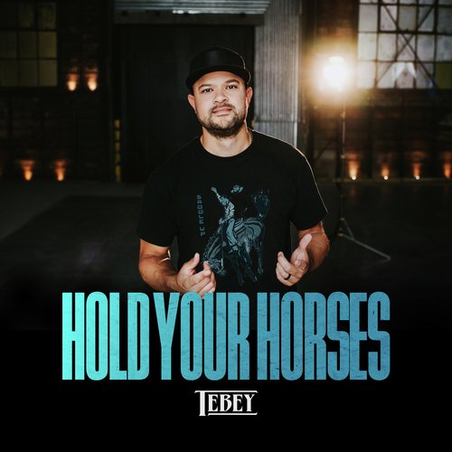Hold Your Horses cover art